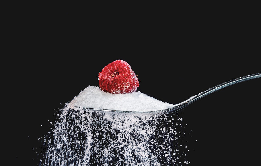 A New Study Exposes the Mechanism Behind Sugar Cravings